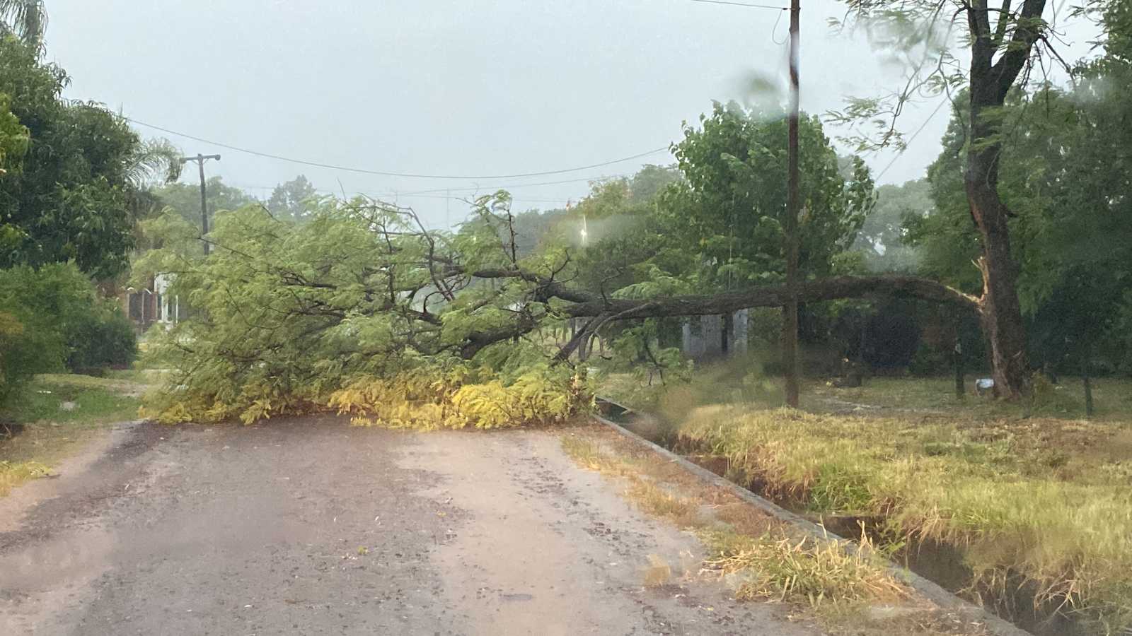 El temporal en Chaco afectó, principalmente, a Margarita Belén. Hubo caída de árboles y zonas inundadas.